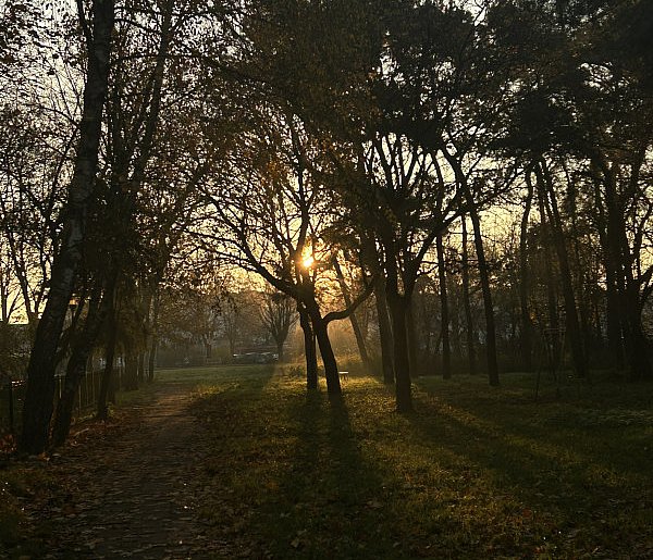 Nadchodzi najkrótszy dzień w 2025 roku. Sprawdź, kiedy przypadnie-41122