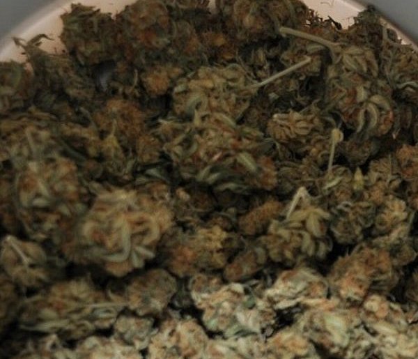 Miał sporo marihuany. Teraz grozi mu do 10 lat więzienia-41467