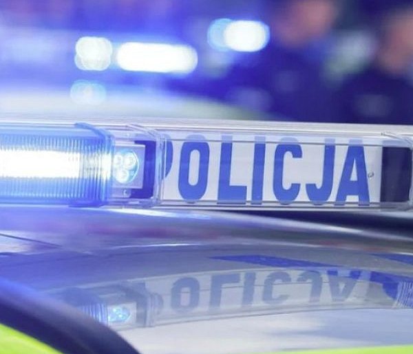 Pożar na działkach odsłonił arsenał. Dwóch mężczyzn z zarzutami