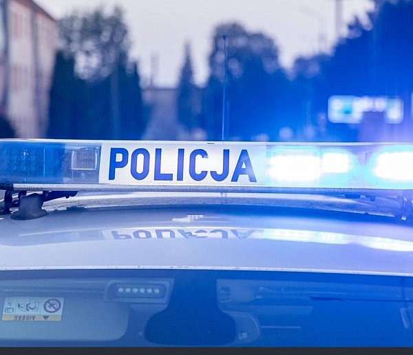 REGION: Śmiertelny wypadek przy zbieraniu szyszek