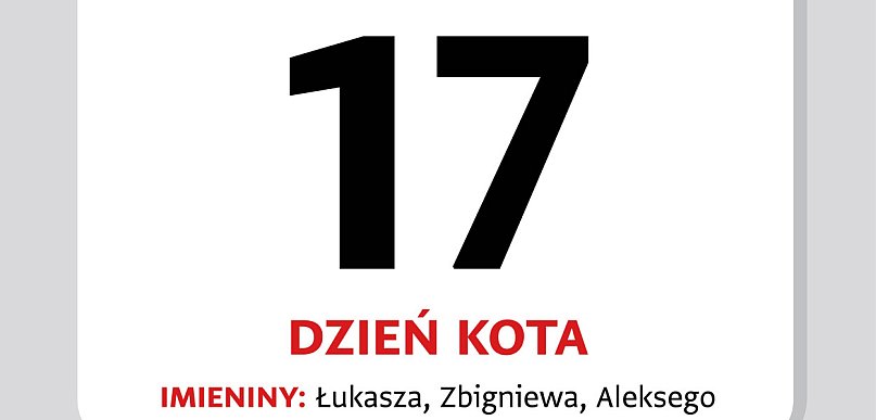 Kartka z kalendarza – 17 lutego. Dziś obchodzimy Dzień Kota