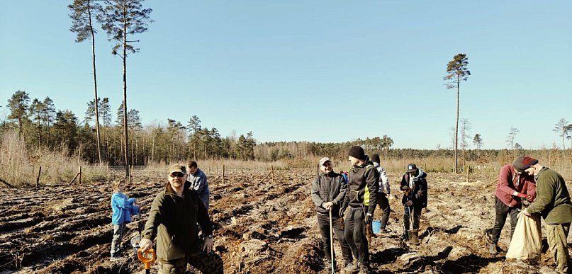 Strażacy zapraszają do sadzenia lasu