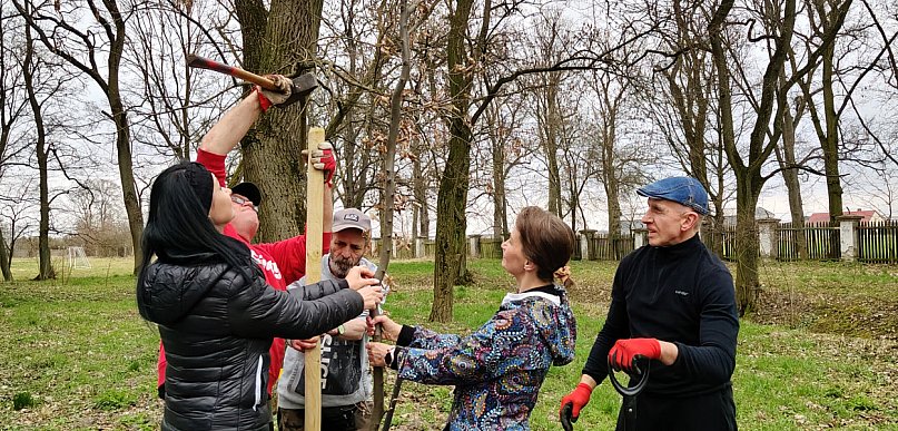 Nasadzenia drzew przy schronisku w Zielińcu