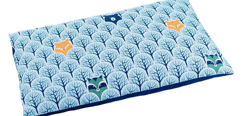 Jakie są zalety zastąpienia tradycyjnego jaśka poduszką z łuski gryki?