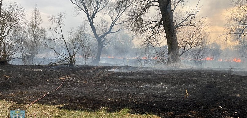 Piekło nad Wartą! Strażacy z dwóch powiatów w walce z żywiołem [FOTO]