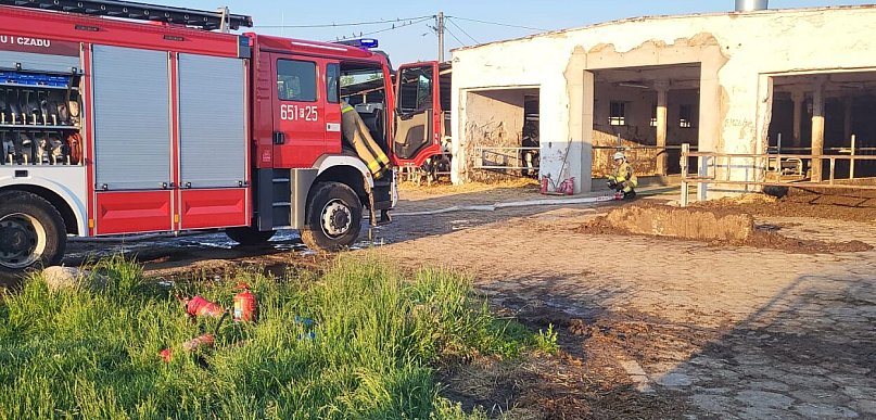 Pożar w budynku inwentarskim w Sokołowie [FOTO]