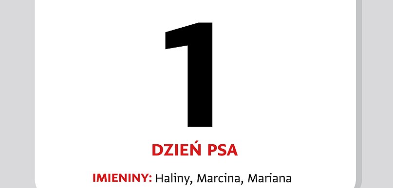 Kartka z kalendarza – 1 lipca – Dzień Psa
