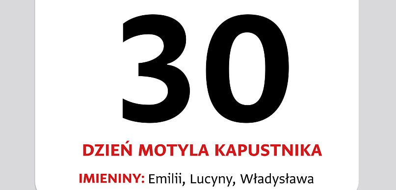 Kartka z kalendarza – 30 czerwca – Dzień Motyla Kapustnika
