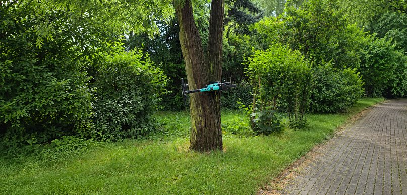 Hulajnoga na drzewie. Nietypowy widok za stacją paliw
