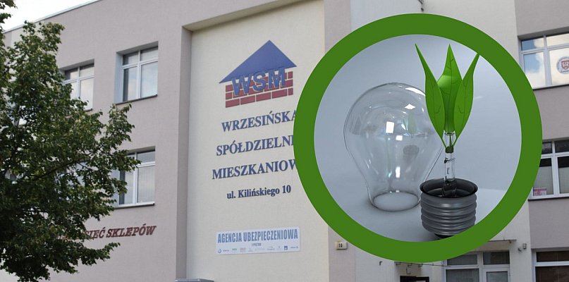Ekologiczny piknik przy ul. Chrobrego. WSM zaprasza!  - 39070
