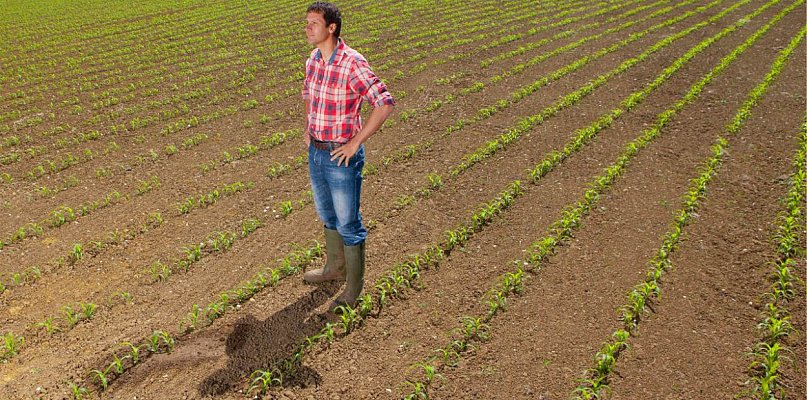 Integrowana uprawa – jak agrotechnika pomaga ograniczyć stosowanie nawozów, pestyc - 39929