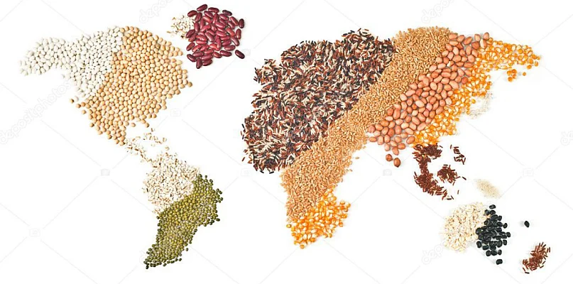 Zanik warstwy uprawnej – czy będziemy w stanie wyżywić rosnącą populację? - 39944