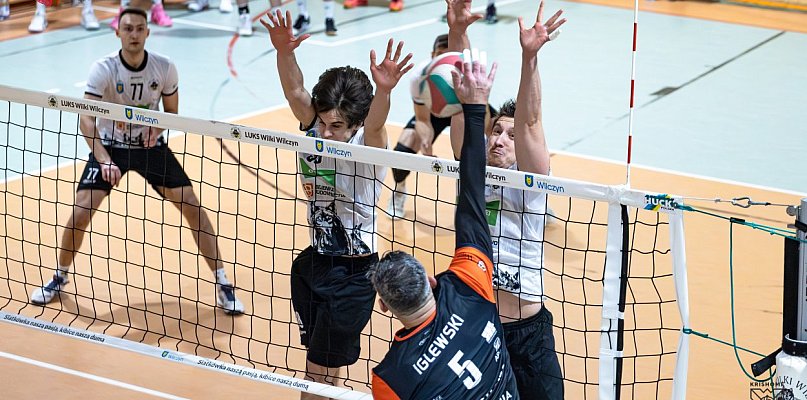 Wilki nie do ugryzienia przez graczy Krishome - 40259