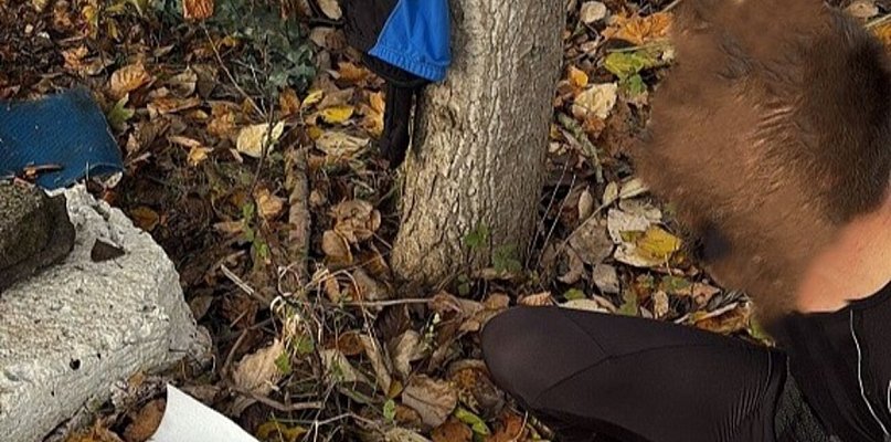 Nielegalny ogrodnik z Nekli. 38-latek wpadł dwa razy - 40319