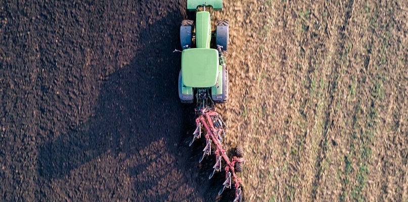 W jaki sposób orka szkodzi dżdżownicom?