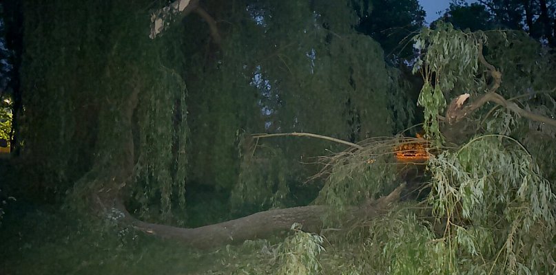 Niebezpieczeństwo nad zalewem. Gigantyczna gałąź runęła na uczęszczaną drogę