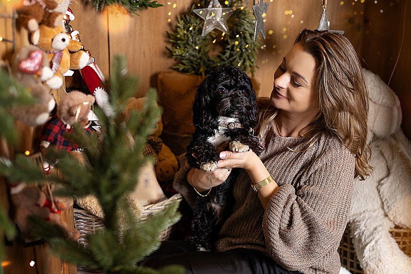 Świąteczne światy Zielonej Fabryki