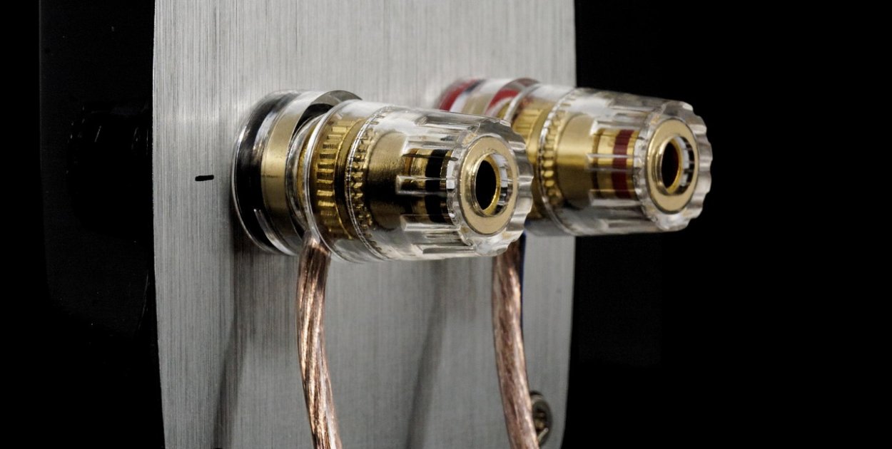 Obraz Bruno z Pixabay