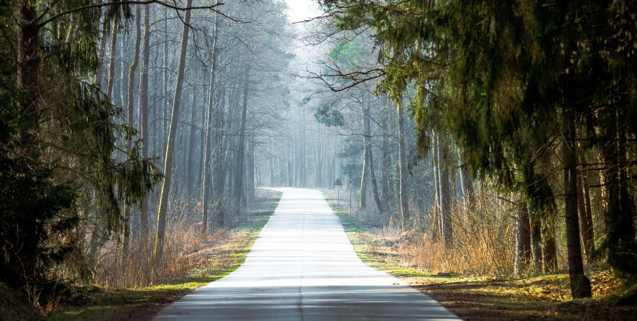 pixabay.com Licencja: https://pixabay.com/pl/service/license