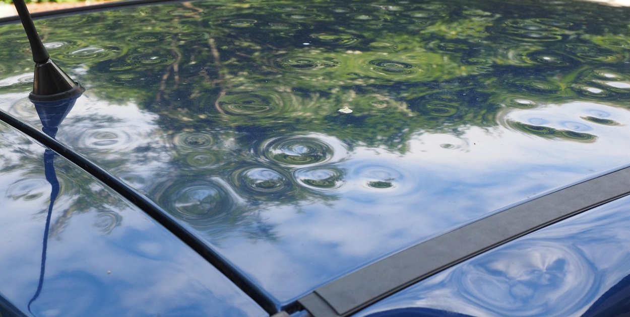 pixabay.com Licencja: https://pixabay.com/pl/service/license