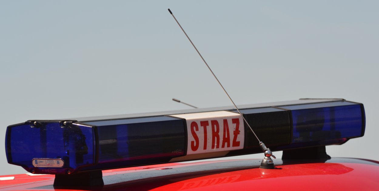 Pies utknął w ogrodzeniu. Pomogli strażacy