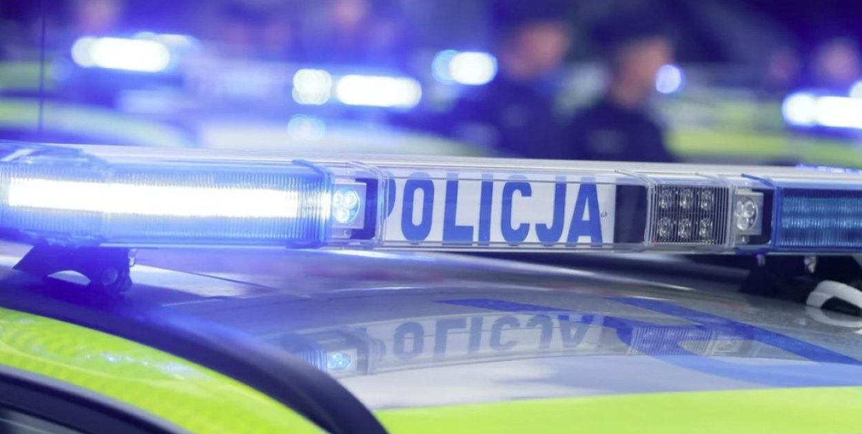 Pożar na działkach odsłonił arsenał. Dwóch mężczyzn z zarzutami