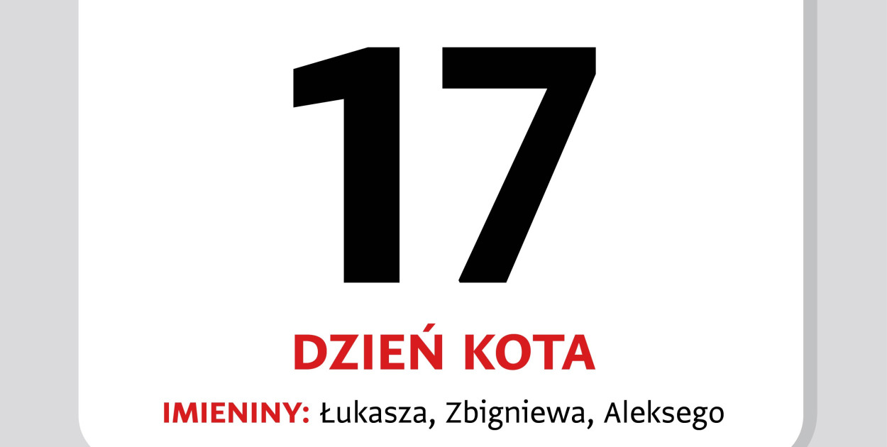 Kartka z kalendarza – 17 lutego. Dziś obchodzimy Dzień Kota