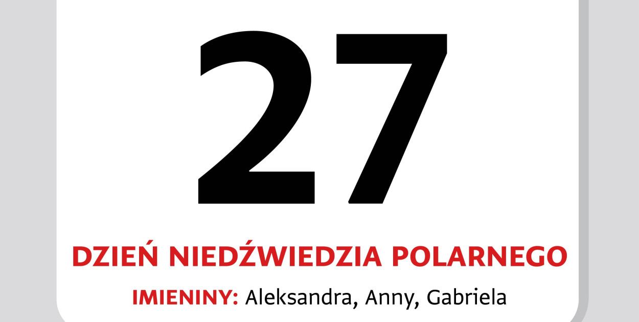 Kartka z kalendarza – 27 lutego. Dziś obchodzimy Dzień Niedźwiedzia Polarnego