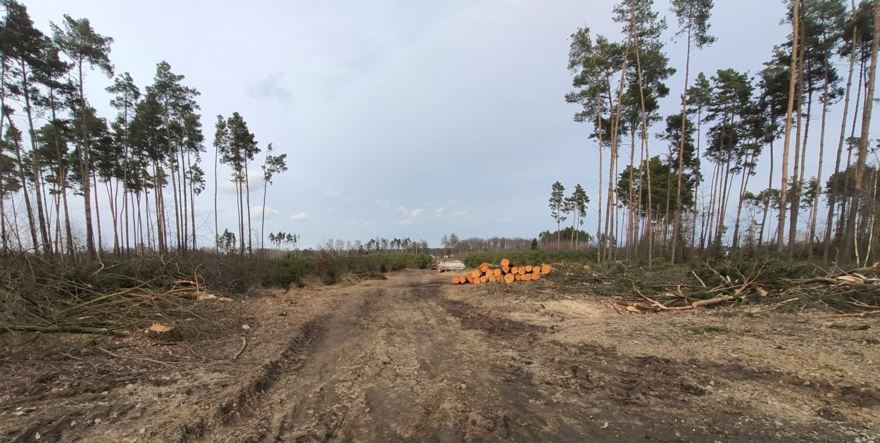 Kluczowa inwestycja w okolicach Nowego Folwarku. Wycięto pas lasu
