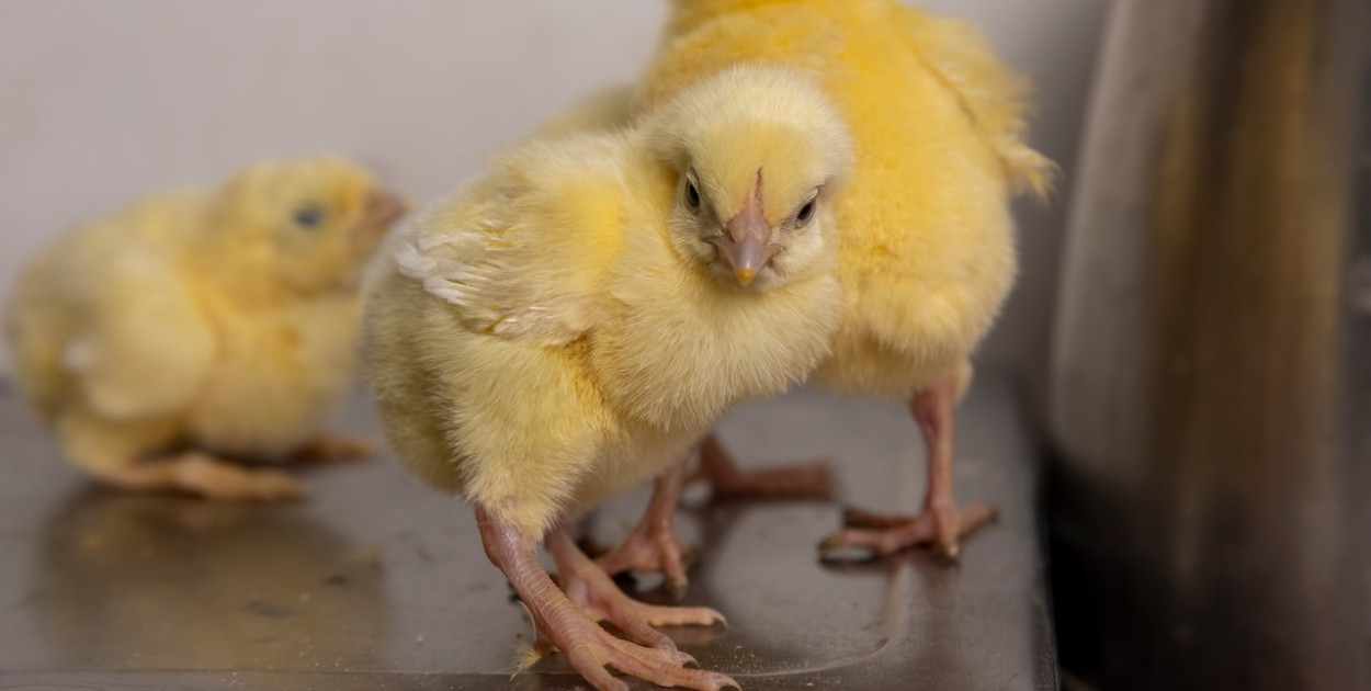 Smart farma to nie science fiction