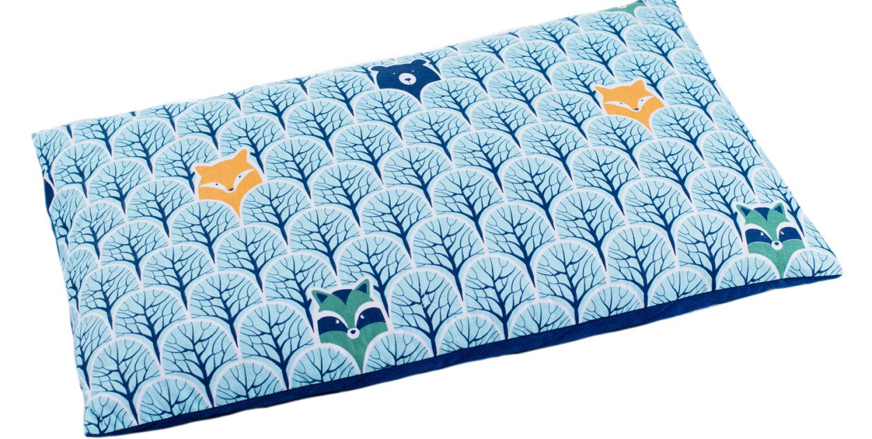 Jakie są zalety zastąpienia tradycyjnego jaśka poduszką z łuski gryki?