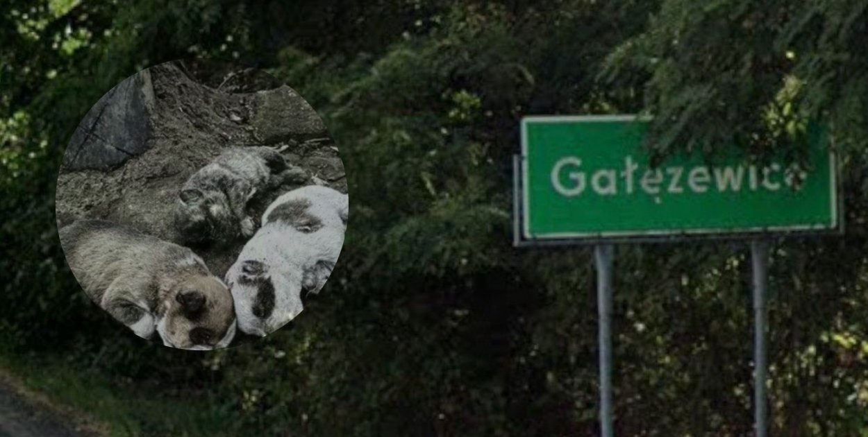 Makabra w Gałęzewicach. Jest akt oskarżenia