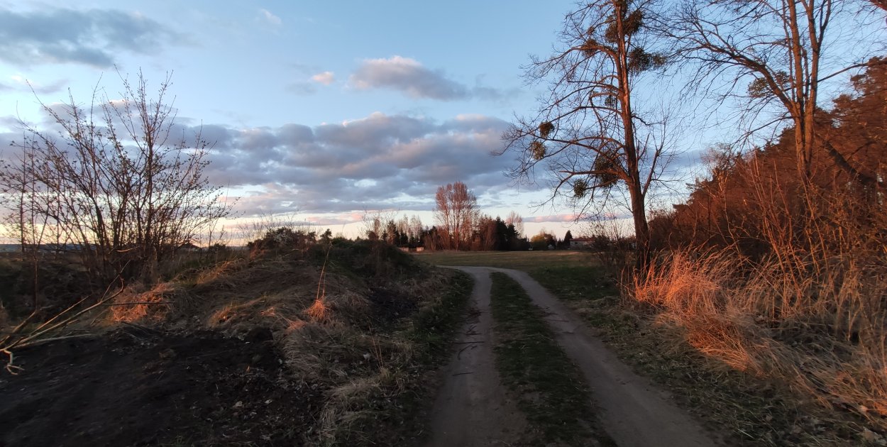 Skatepark w nowej lokalizacji. Jest wizja - będzie projekt