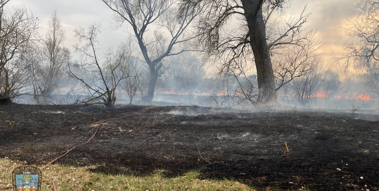 Piekło nad Wartą! Strażacy z dwóch powiatów w walce z żywiołem [FOTO]